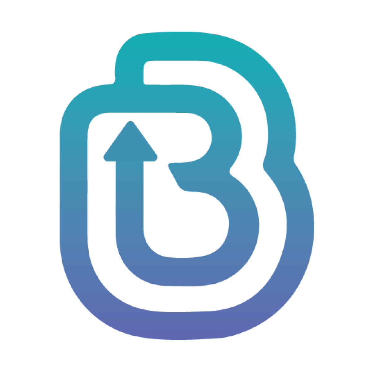 bizi
